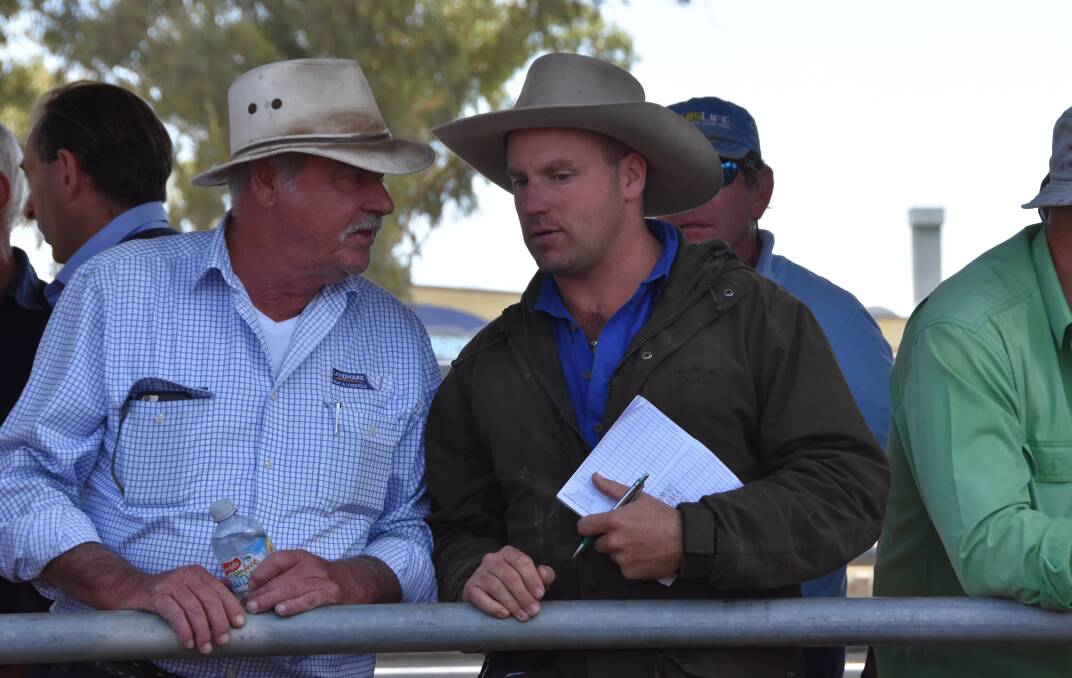 Landmark International buyers Frank Glenane and Vin Ryan, were busy bidding on young cattle at last week's Ballarat sale.