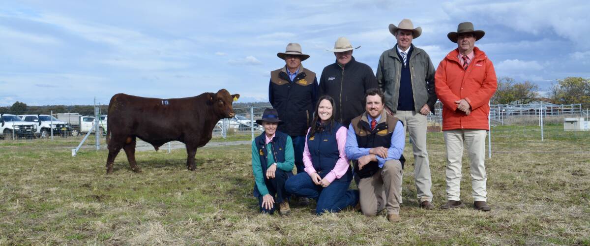 The $32,000 top-priced bull with Kim and (kneeling) Liz, Katja and Ned Williams, Polldale, John Settree, Nutrien, auctioneer Paul Dooley, and Brian Kennedy, Elders. 