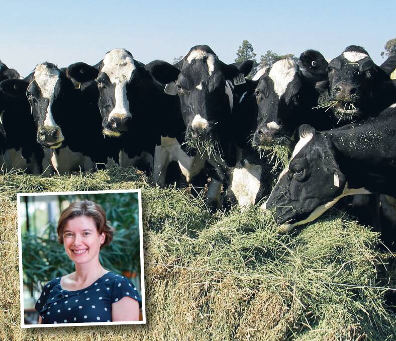Socially acceptable cows: Professor Jennie Pryce (inset) says cows of the future need to be resource efficient, have a low environmental footprint and low methane emissions, and traits consistent with high standards of animal welfare.
