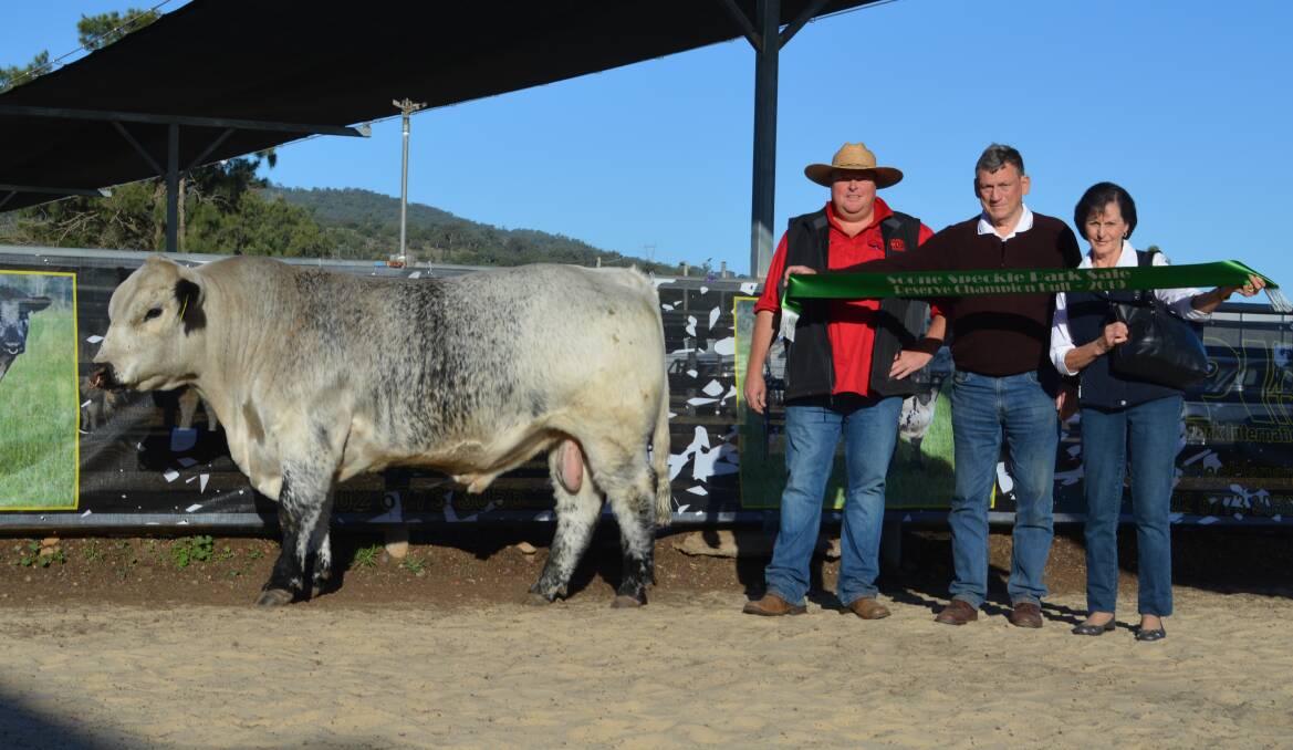 The $10,000 sale-topping bull at auction Glengarry Storm Chacer with buyer Dale Humphries of Wattle Grove Speckle Parks, Oberon, and vendors Gary and Colleen Linford, Glengarry Speckle Parks, Oberon. 
