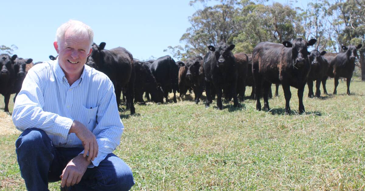 Sired by bulls with good index for docility, Nigel Paulet was “amazed” with how well the calves had settled down, only one or two weeks after respective mobs were weaned.