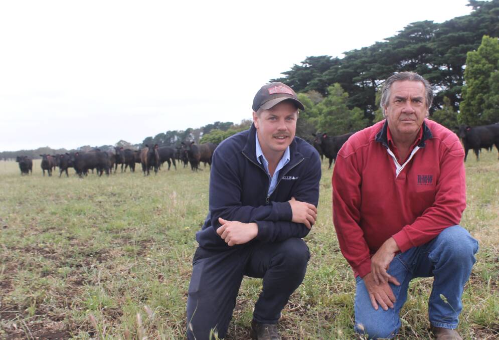 James Pike, JM Ellis & Co, with Peter Peach. See more photos of the calves online.