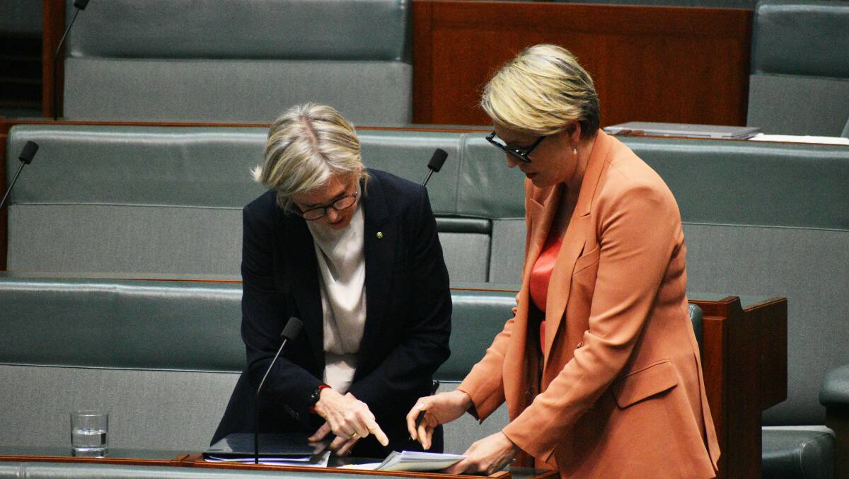 Independent Indi MP Helen Haines (left) discusses her amendments with Water Minister Tanya Plibersek. Picture by Jamieson Murphy 