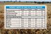 Surging wheat futures fail to follow through
