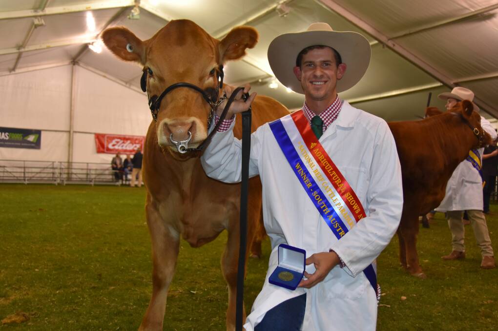 TOP PARADER: Mason Galpin, Penola, came up trumps in the National Beef Cattle Paraders final