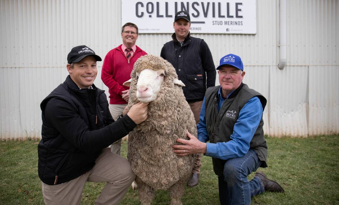 Collinsville general manager Tim Dalla, Elders auctioneer Tony Wetherall, Collinsville stud principal George Millington and Tony Brooks with the $88,000 ram. Photo: Tegan Buckley, Mallee Marketing