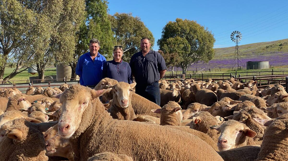 Justin and Anthea Lines, Gum Hill, Mount Bryan and Stuart Dale who manages the property where the $336 Merino ewes were run. The 267 ewes were September shorn and MN3 status.