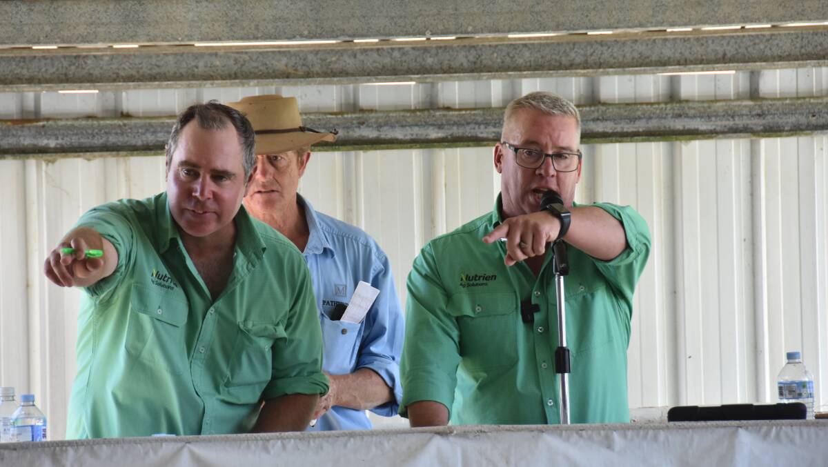 Nutrien stud stock's Richard Miller and Gordon Wood adding up the bids on the rostrum.