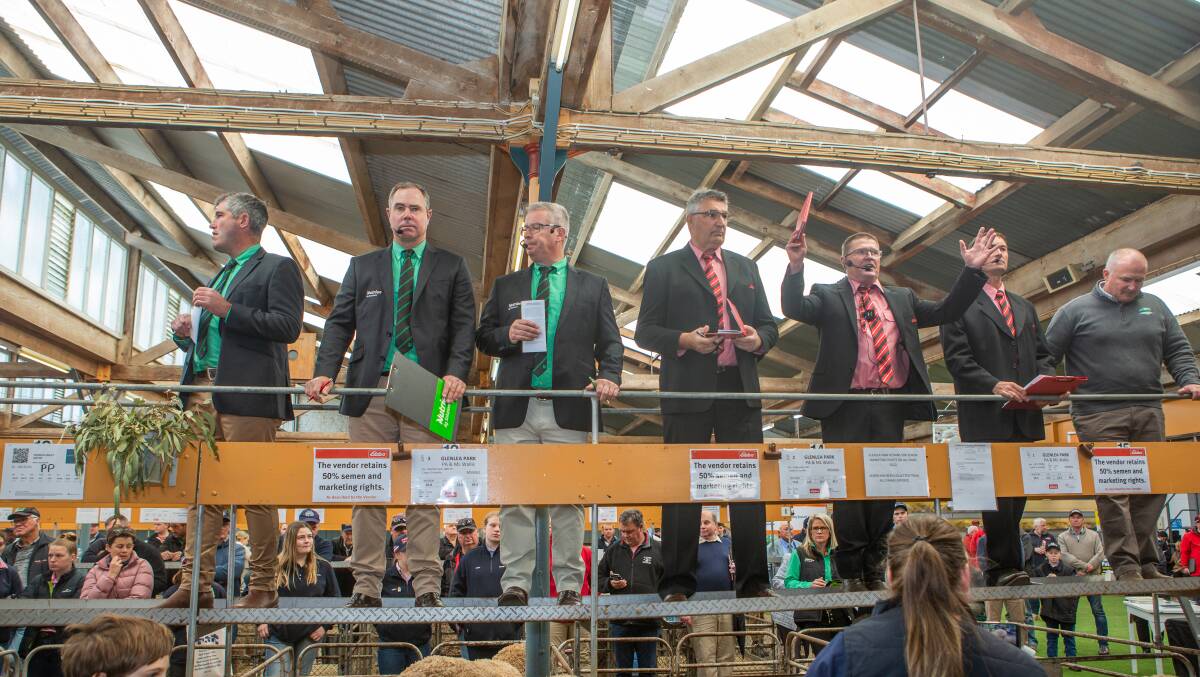 The Nutrien and Elders selling team at the 2023 Adelaide Merino ram sale where 37 of 49 rams topped at $28,000 and averaged $11,460. Picture by Jacqui Bateman