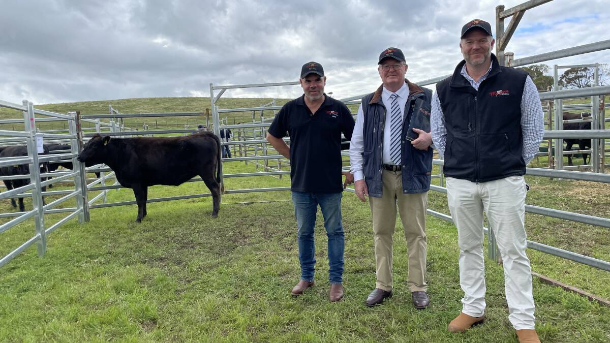 Mayura operations manager Mark Oliver, sale agent Harvey Weyman-Jones and principal Scott de Bruin with the sale topping heifer- lot 3- which sold to Hewitt Pastoral Enterprises, HP Wagyu, Taroom, Qld for $86,000.