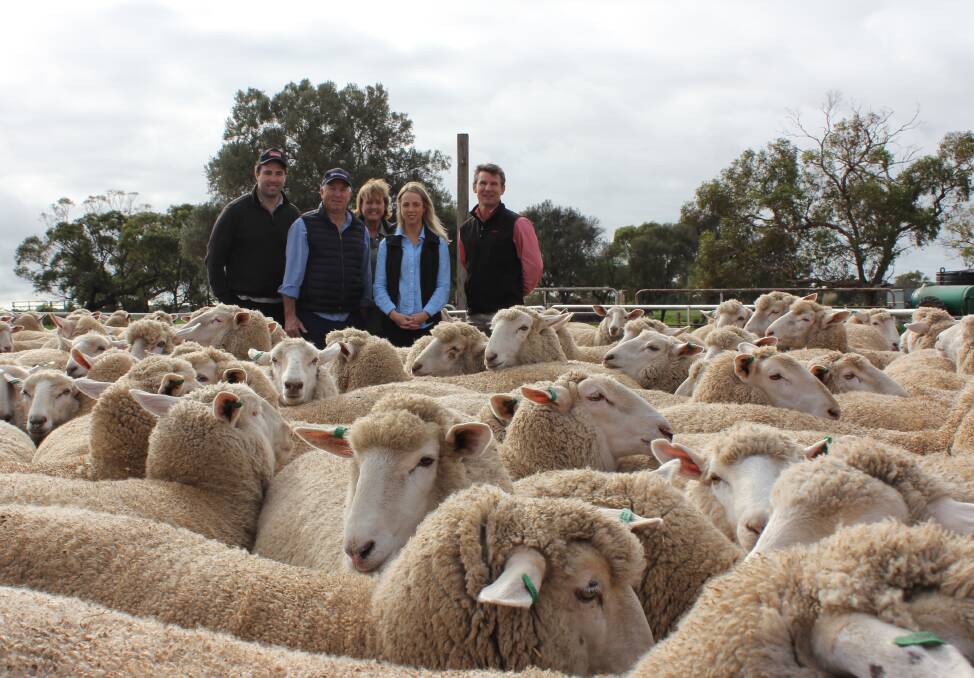 YP ACCOLADE: Vendors of the record-breaking young ewes James, Rob, Steph and Anna Mumford, Minlaton, and their agent Elders Minlaton branch manager Adam Pitt.
