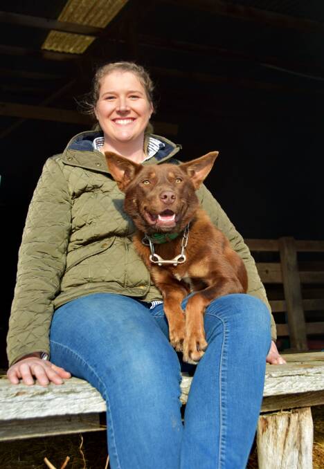 DEBUT LOT: Neisha Shanko is offering her young kelpie Zuma as a well-started dog at the Lucindale Working Dog Auction on Sunday, September 26 at Yakka Park.