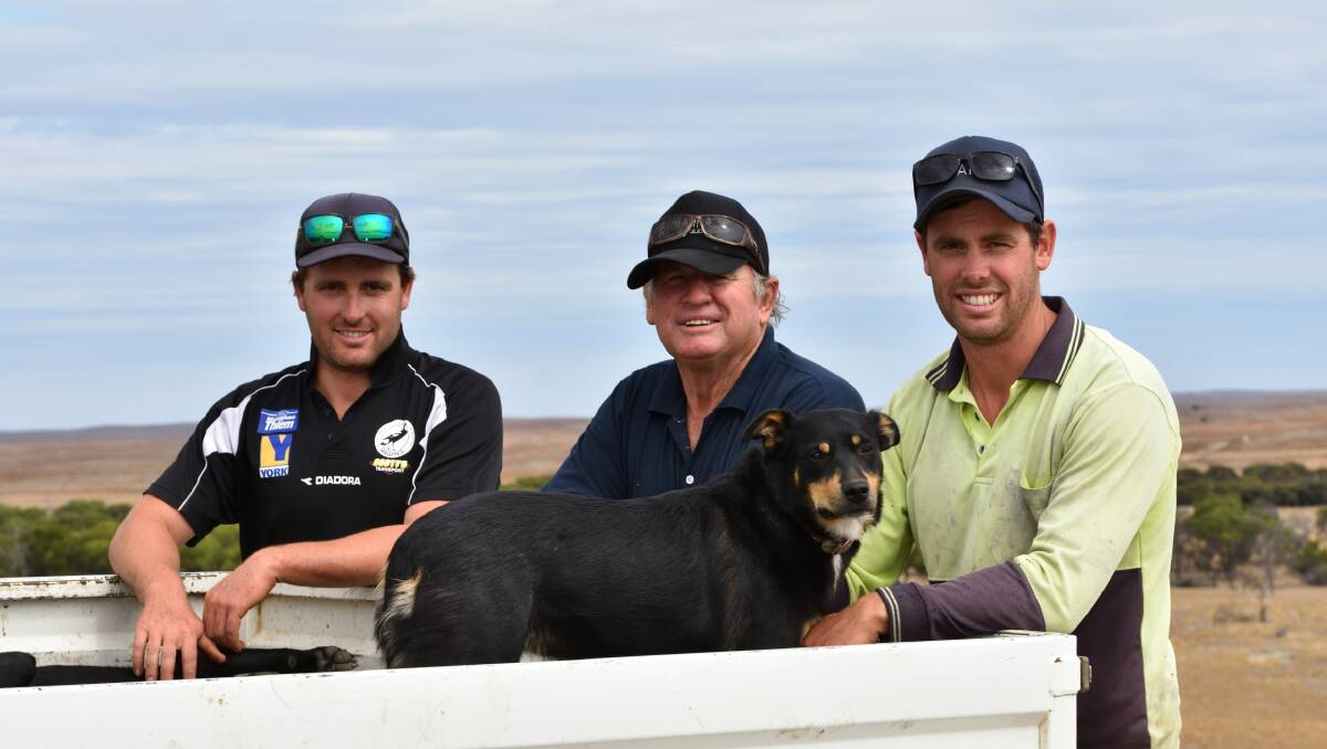 Xavier, Chris and Aaron Watson, Tooligie, are among the woolgrowers involved in the new Eyre Peninsula DNA brand.