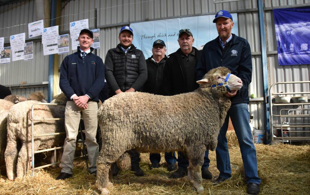 MALLEE PRIDE: Spence Dix & Co's Simon Lehmann, Brad Schroeder, Stewart and Gavin Brophy and Ray Schroeder holding the $11,000 ram.