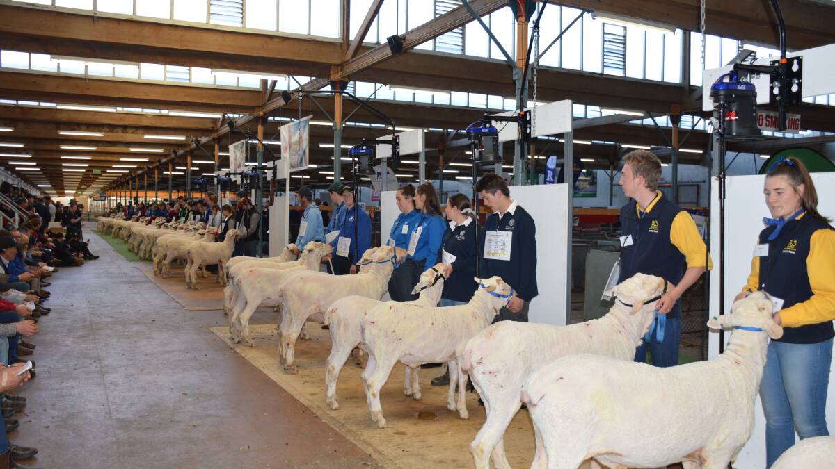 A record number of entries have been received for the 2021 Schools Merino Wether Competition.