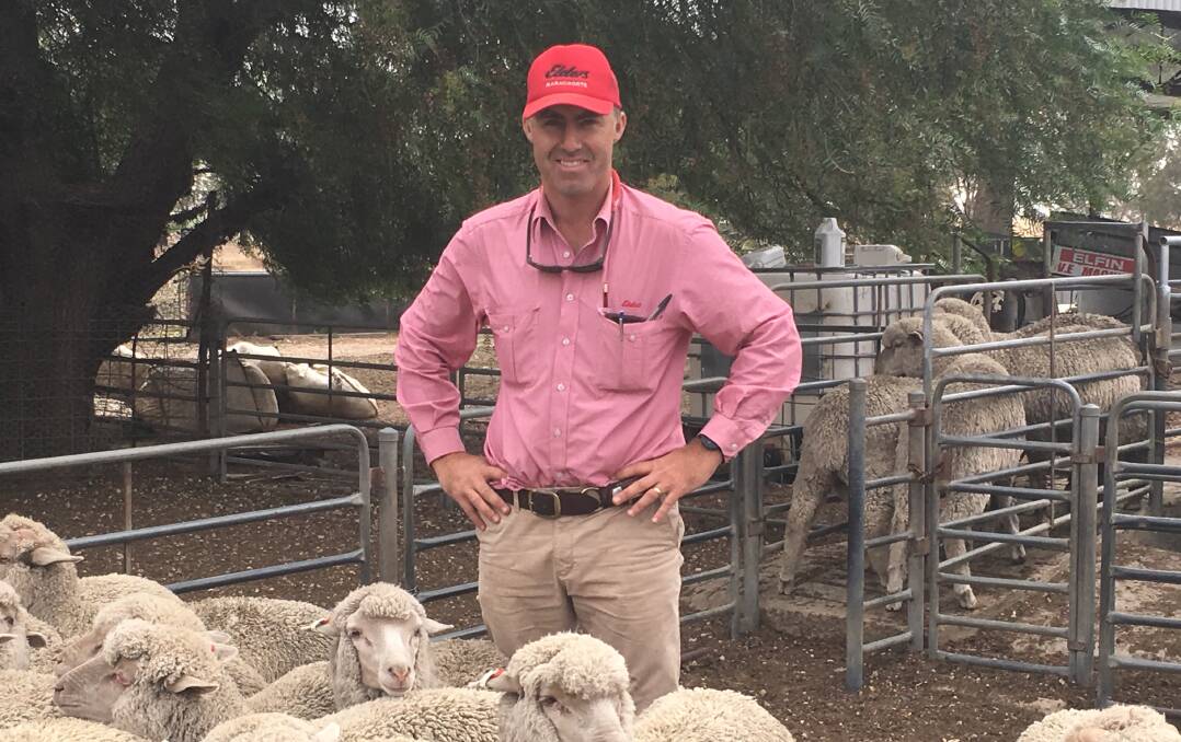 CHANGES NEEDED: Elders Naracoorte branch manager Tom Dennis says SA's existing regulatory approach to ovine johnes disease is "overkill".