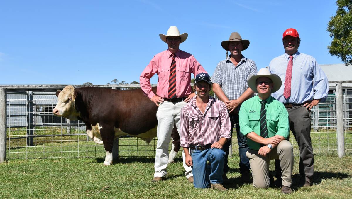 Elders' Ross MIlne, Craig Gum who paid the $17,000 sale high for lot 12, Alastair Day and at front kneeling Tom Fulcher and Nutrien stud stock manager Gordon Wood. Pictures by Catherine MIller