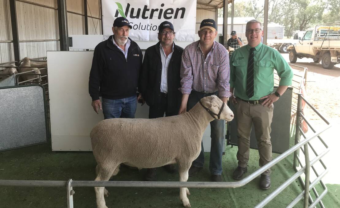 BIG BUY: PPHS director Robin Steen and client Haydn Lines, Keith, Lachlan Hart, Glen Devon stud, with the $8000 ram and Nutrien stud stock's Gordon Wood.