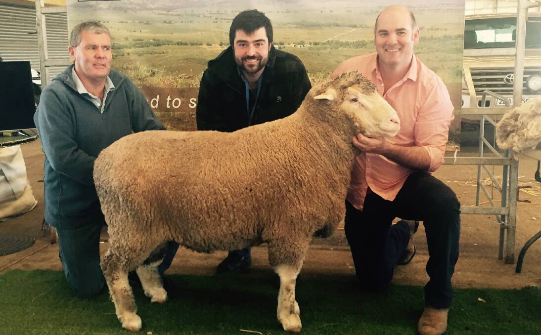 CHILEAN BUYER: Stud advisor Gary Tretheway, BKB, South Africa, with Jose M Gutierrez M, Chile, who paid $20,000 for this 2013-drop ram from Greg Andrews, Hamilton Run Dohnes, Jamestown.