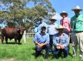 Geoff and Alex Williamson (kneeling at left) Caskieben stud, Carisbrook, Vic with Elders Naracoorte's Alan Thomson, buyers Kim and Ned Williams, Polldale stud, Dubbo, NSW and Nutrien stud stock's Richard Miller with the lot 9 sale topper.