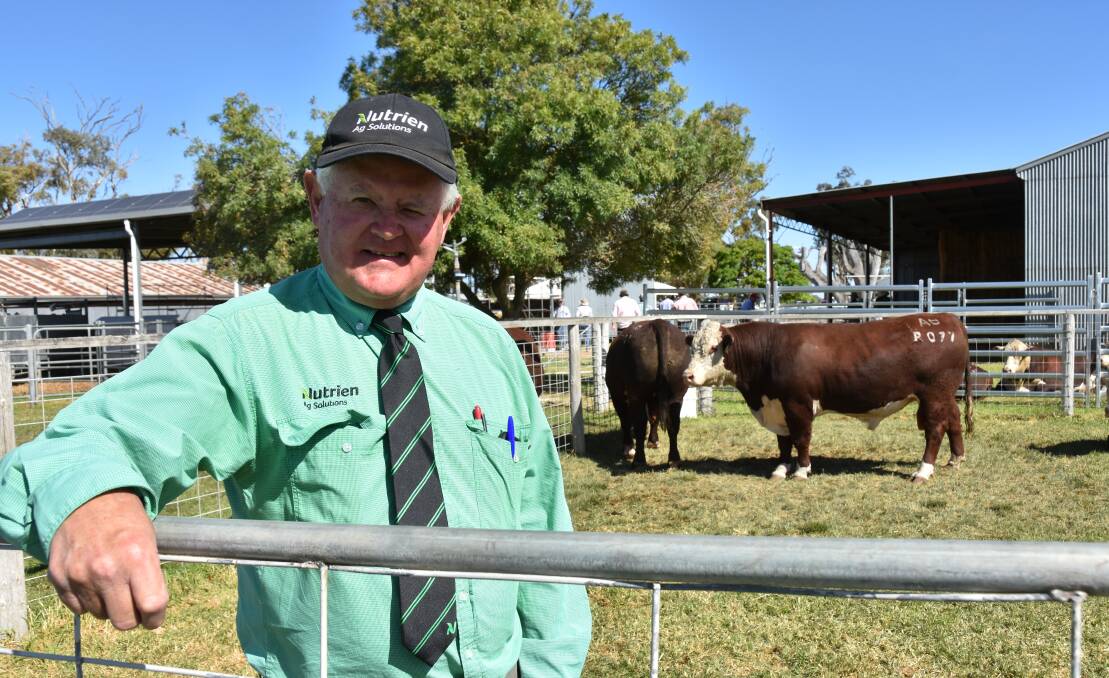 RETIREMENT TIME: Nutrien Bordertown agent Graeme Hampel developed a close relationship with many stud and commercial clients in his 52 years in the job.