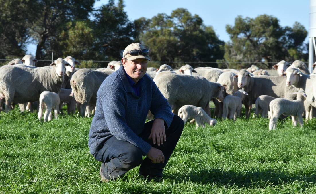 Stephen Kellock, Kelvale Poll Merino stud, Keith, with some of their ewes with May 2019-drop lambs.