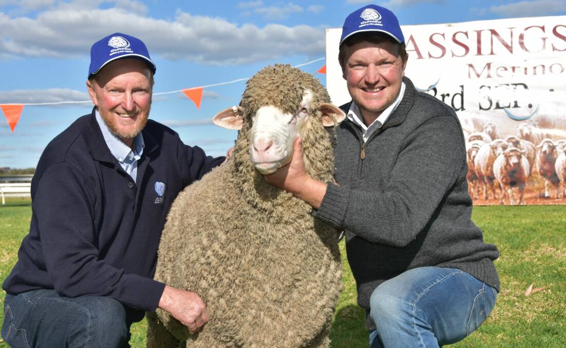 CLASSIC RECORD: Ray and Brad Schroeder, Gunallo stud, Pinnaroo, with their $60,000 sale topper, Gunallo 170295, at the Classings Classic sale at Murray Bridge.