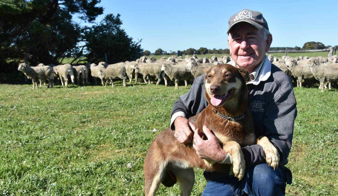 WELFARE PUSH: Rex Hocking, Avenue Range, with his dog Washpool Beatrix, wants to see purpose-built dog runs built at the state's saleyards to ensure dogs have a secure area to roam in.