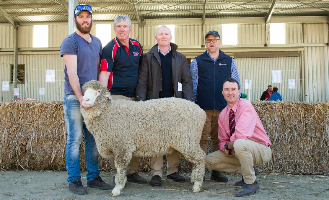 BIG BODY: Kael and Richard Harkness, SWM, Tintinara, with the $5400 top price ram bought by James Mowbray and his SAL Mount Gambier agent Daniel Telfer, and Elders' Steven Doecke. Photo: Deanna Dunbar Adelaide Portrait Studios