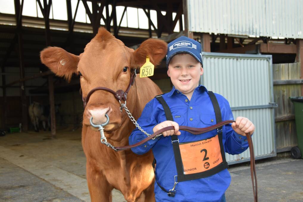PROUD MOMENT: Eight-year-old Hamish Edwards, Mount Compass, with his Limousin heifer Maryvale Ruby. He won a merit award in his handlers class.