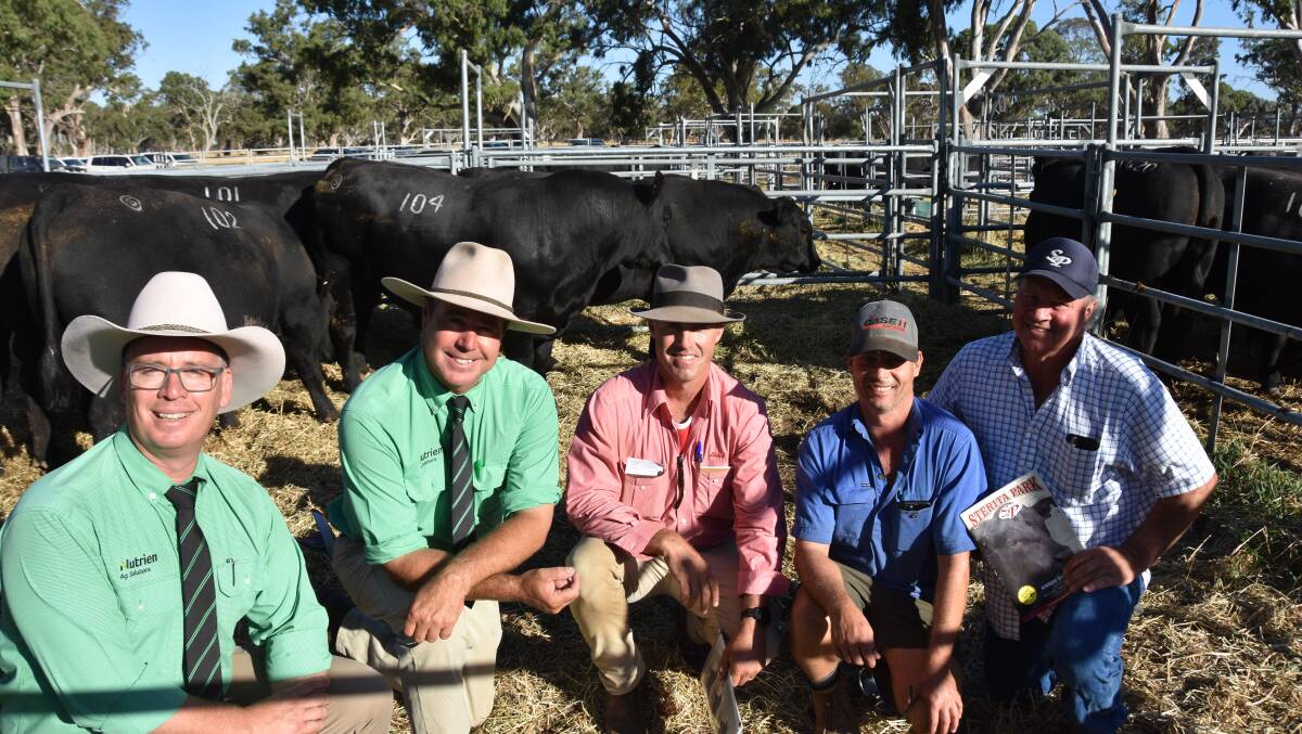 Nutrien stud stock's Gordon Wood and Richard Miller, Elders Naracoorte branch manager Tom Dennis and client James Gosse, Penola, who paid the $38,000 top price and Sterita Park's Nanni DiGiorgio.