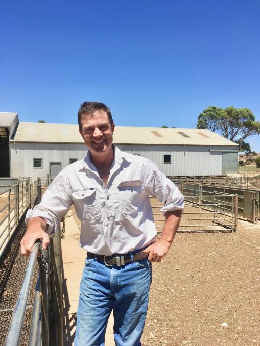 HEALTH CHECK: Merino SA president Nick Wadlow, Hallett, says a strong emphasis on producers accurately filling out their animal health paperwork is needed as interstate sheep trading rules are relaxed.