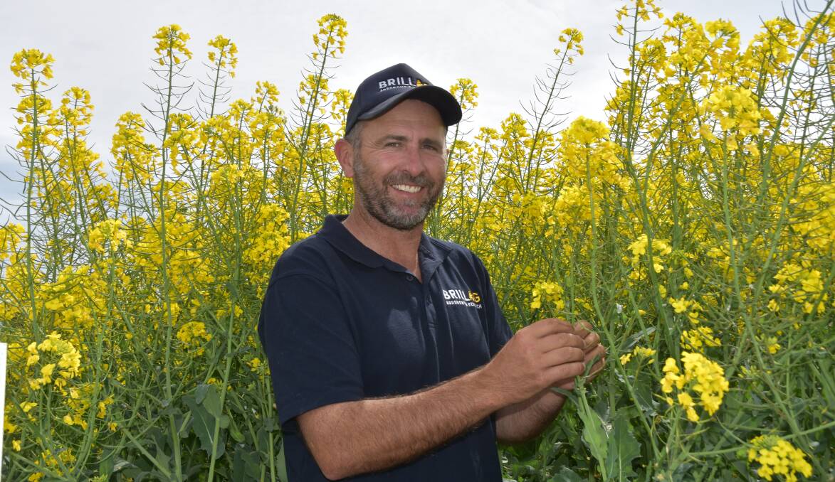 LOFTY GOAL: Brill Ag's Rohan Brill, Wallendbeen, NSW, hopes the three-year project striving for hyper yielding canola in high rainfall areas will help growers in their quest to grow 5t/ha crops.