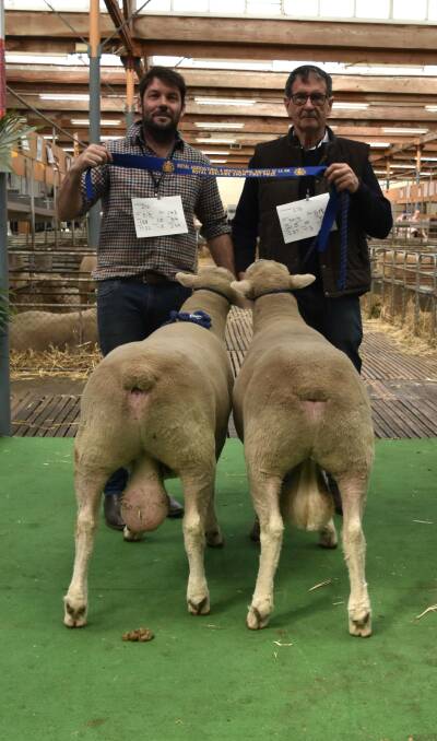 Brad and Rod Davies, Wrattenbullie stud, Wrattonbully,with their winning pair of rams from the 2022 Royal Adelaide Show. 