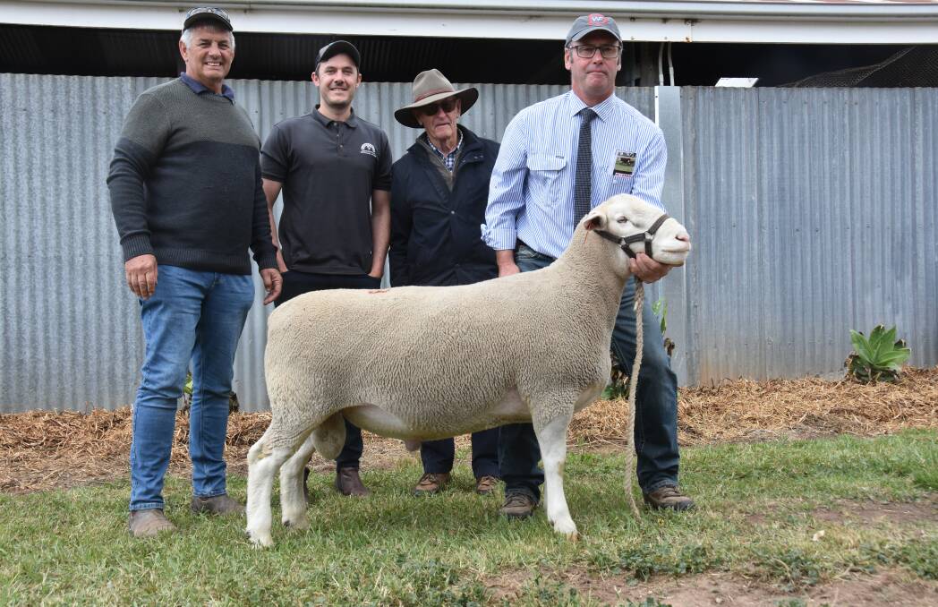 Kenton Farr and Matt Leigh, Harry's Well stud, Loxton bought the sale topping lot 33 White Suffolk ram being held by Days Whiteface stud's Lachy Day.