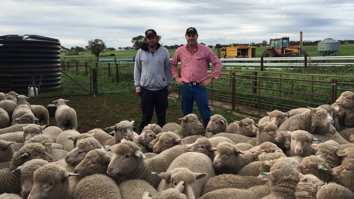 LAMB DRAFT: Tom Cash, Oakfront Pastoral, Calca, (pictured with Elders Streaky Bay's Paul Kilby) will offer 400, April/May 2019-drop Poll Merino wether lambs in the EP Circuit sale on September 4.