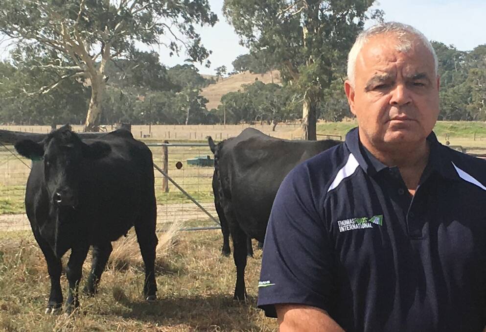 CONSUMER GUARANTEE: Thomas Foods International beef manager Petar Bond says global demand for high quality grassfed beef prompted the company to join the Pasturefed Cattle Assurance System.