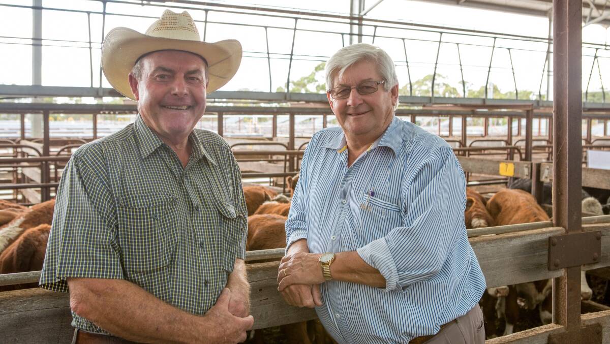 Geoff Wellington (right) chats to Grant Wood at a Naracoorte cattle sale in 2016 when he was buying for Thomas Foods International. 