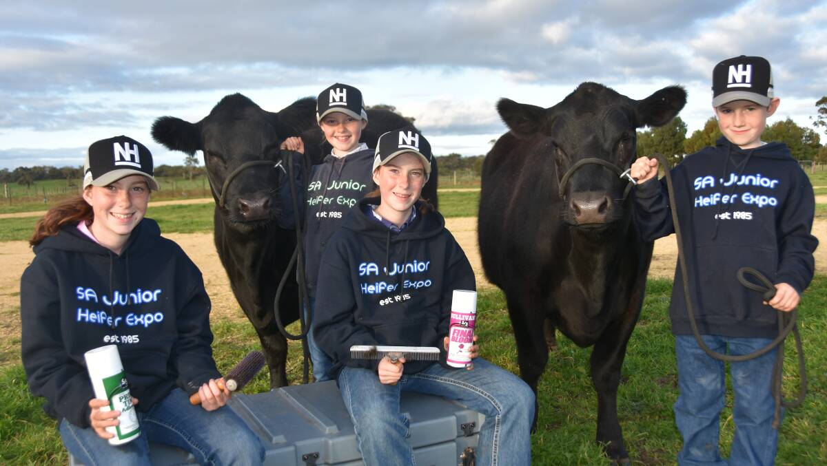 DISAPPOINTMENT: Nampara Angus stud's Emily, Charlotte, Maddi and Austin Hann, Biscuit Flat, are disappointed the 2021 Royal Adelaide Show is off.