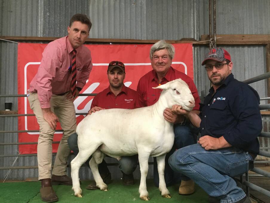EP BOUND: Elders Naracoorte branch manager Tom Dennis, Nonning Pastoral Company's Cameron Sandercock and owner Angus McTaggart, with the $1200 top price ram and buyer Nigel "Scrub" O'Brien.