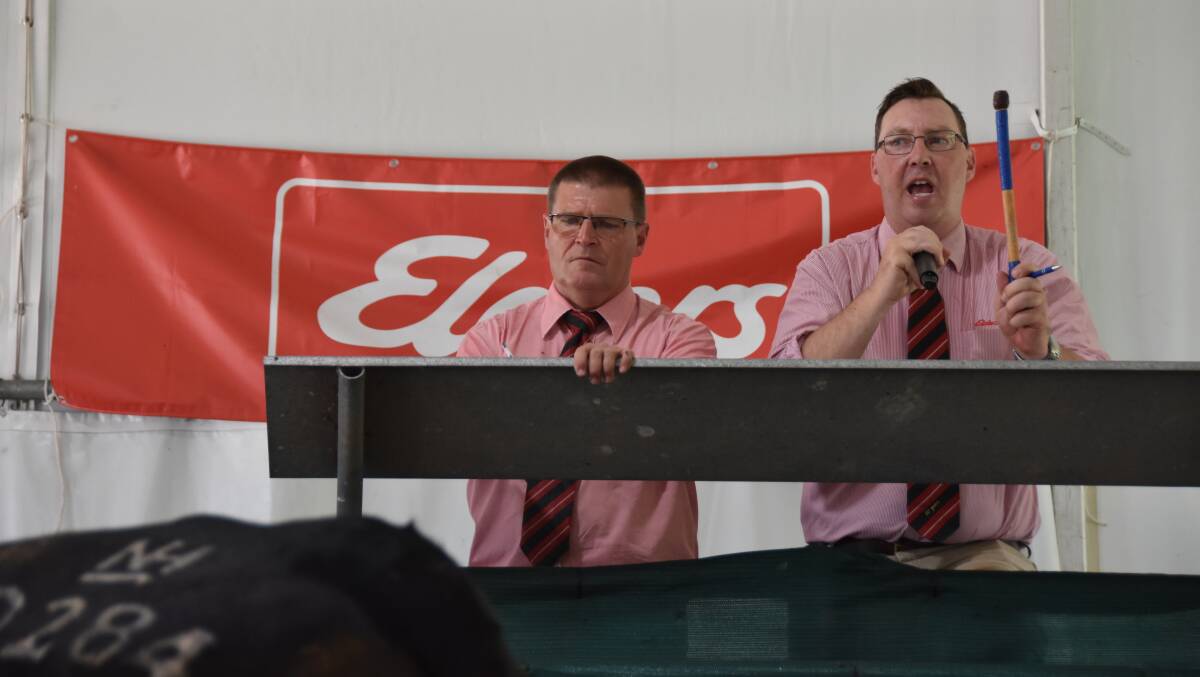 Elders studstock's Tony Wetherall and Ross Milne took plenty of bids on AuctionsPlus at Nampara stud's successful annual sale on Tuesday with 11 bulls knocked down that way.