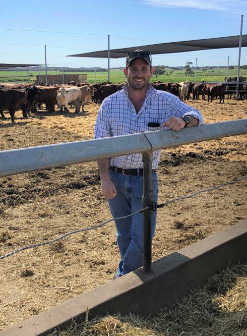 Steer Showdown judge Tom Green from Tintinara said it had been a fun and challenging experience judging his first online cattle show.