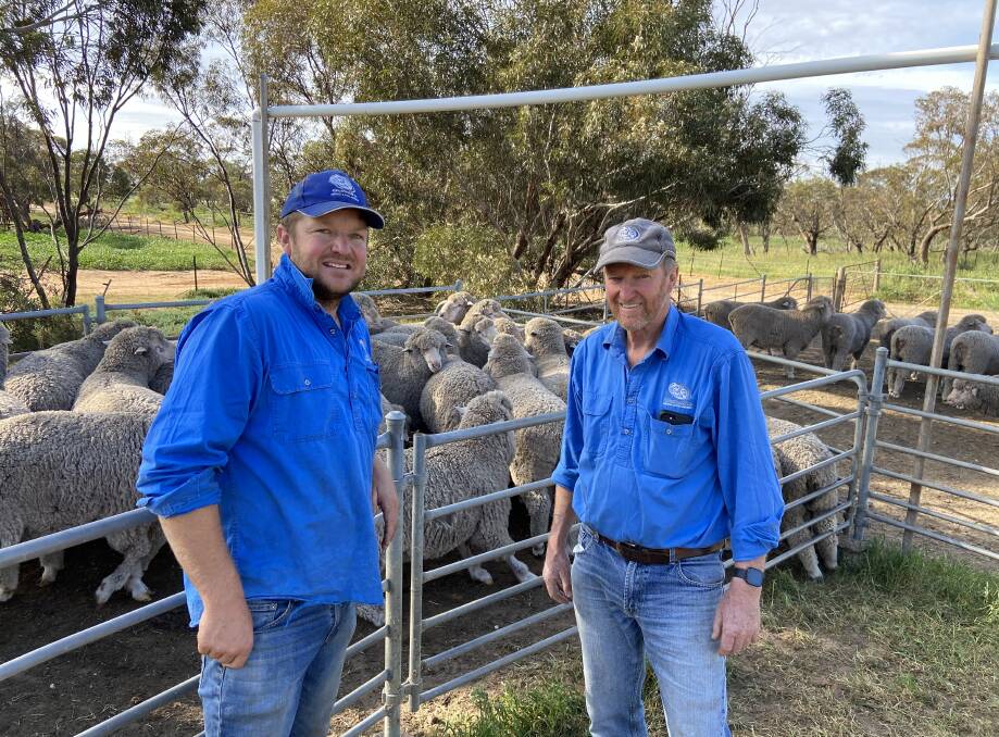 SOLITARY SEASON: Brad and Ray Schroeder, Gunallo stud, have moved their September 3 ram sale from their Panitya property just across the Vic border into SA.