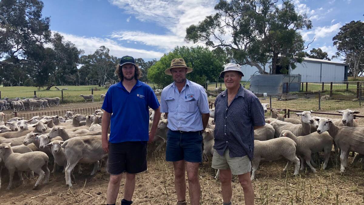 STUD GROWTH: Chris Rudiger, Elton Downs, Karoonda, and his agent Luke Schreiber, Spence Dix & Co, bought the Churchill stud from Dean Dunsford, Wirrega. Elton Downs expects to offer about 150 rams in 2019.