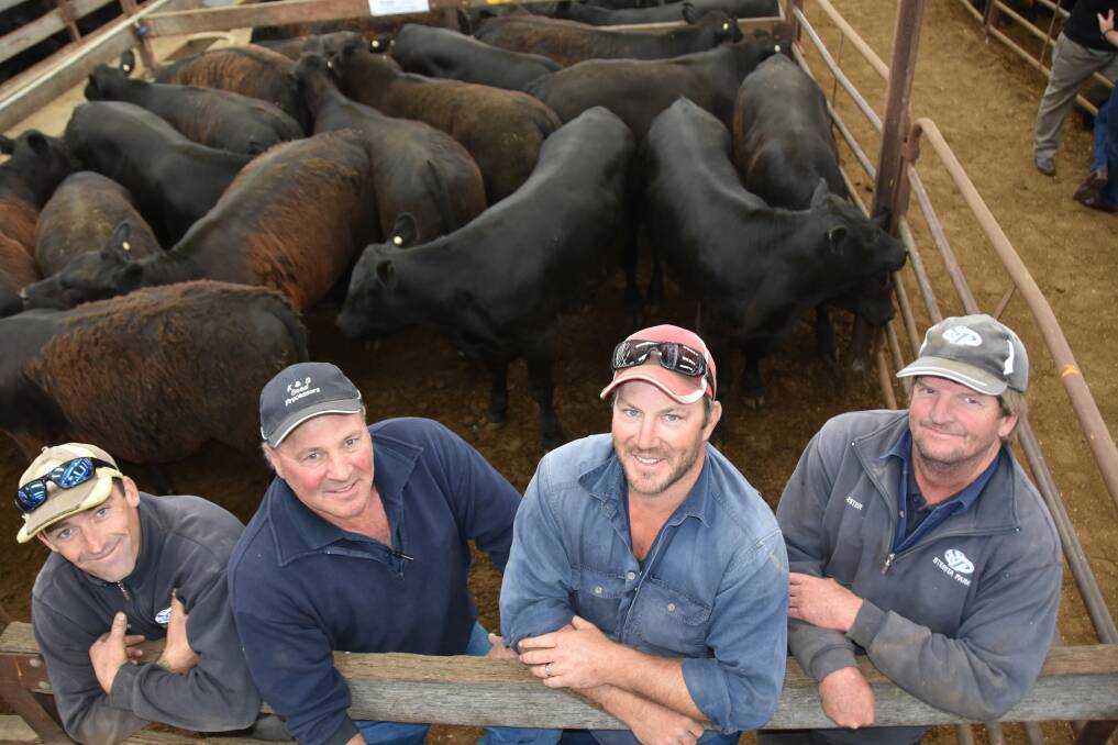 DIGIORGIO RUN: Rory Townsend, Nanni DiGiorgio, Grant Thompson and Lester Lamont. S&R DiGiorgio & Sons, Lucindale, sold 444 Angus steers for a $1192 average and 257 heifers for a $1008 average.