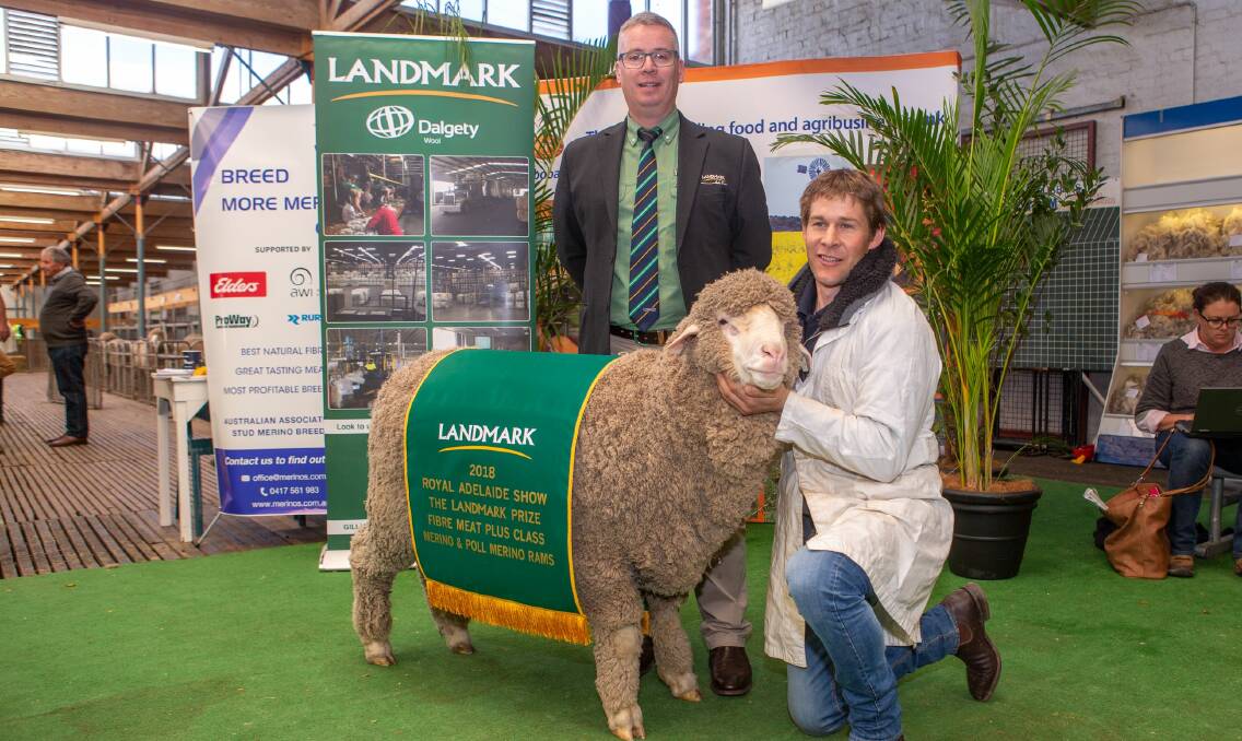 TRAIT LEADER: Landmark stud stock manager Gordon Wood with the Fibre Meat Plus class winner from Mernowie stud, being held by David Rowett, Marrabel. The 16.7-micron ram had a top testing fleece including a 2.3 standard deviation and 100 per cent comfort factor.