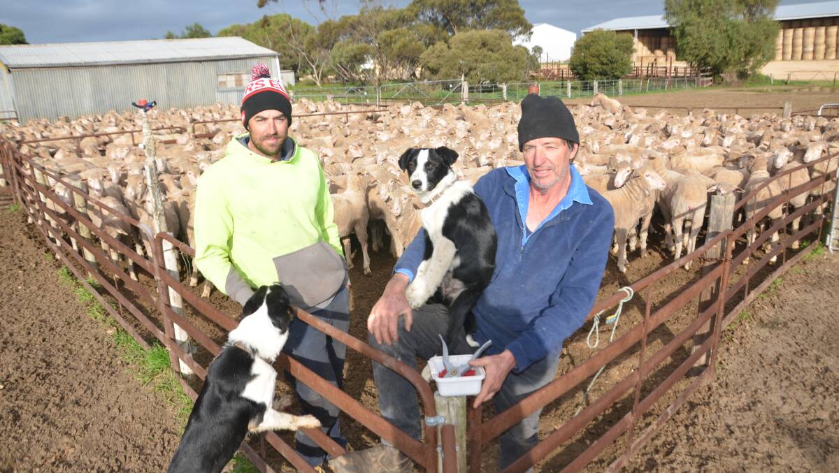 Dale and Ian Farley, Jabuk, with their dogs Harold and Zoe are vehemently opposed to the federal and state governments backing a national plan for eID saying the current mob based system is "not broken".