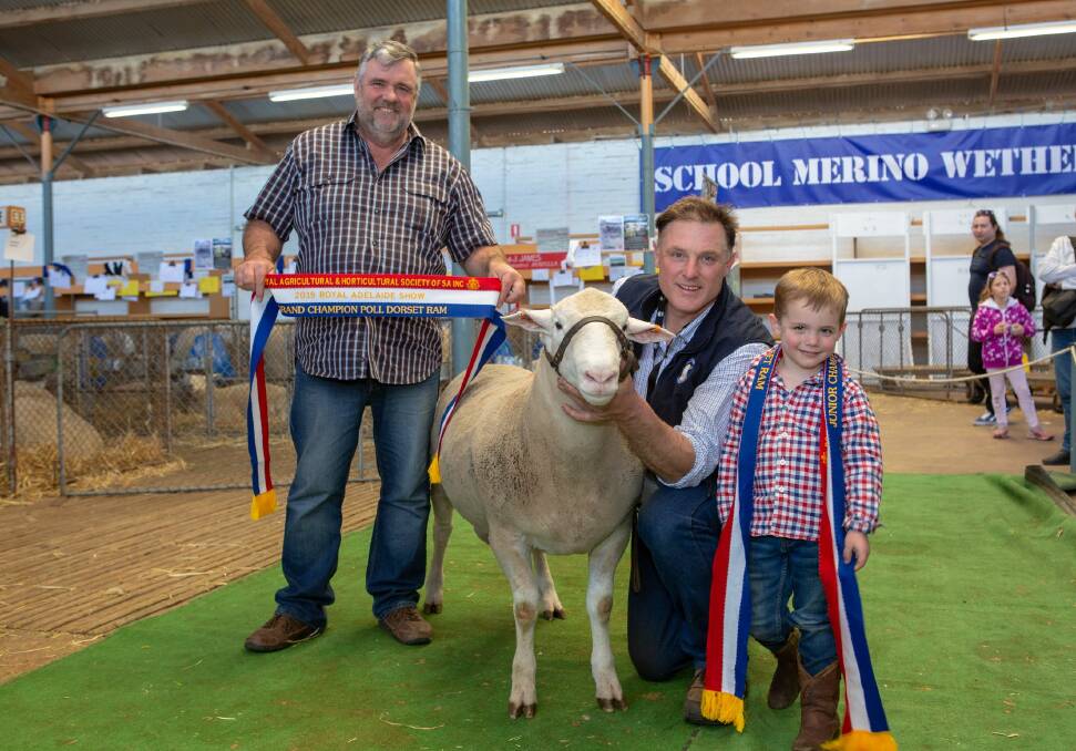 TAS TRIUMPH: Australian Poll Dorset Association president Damon Coates, Vic, sashes the grand champion ram held by Andrew McLauchlan and four-year-old son Beau