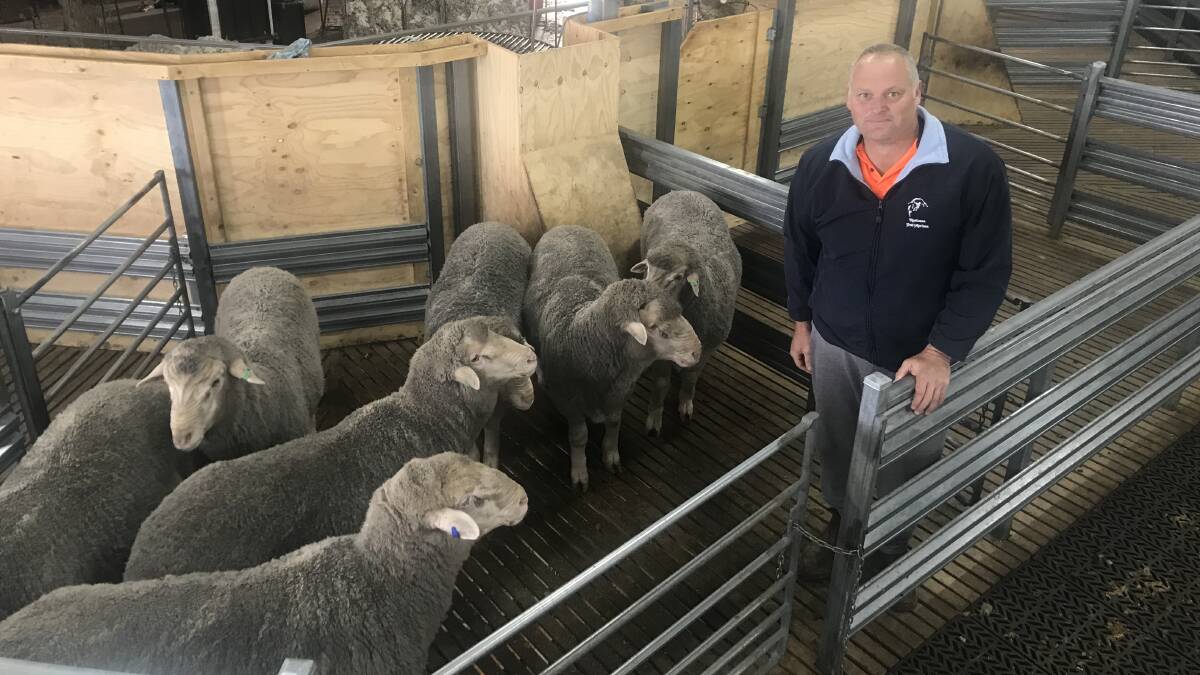 CHANGED FORMAT: EP Stud Merino and Poll Merino Pre-Sale Expo president Chris Prime says the Wudinna event has been replaced by two days of on-property displays.