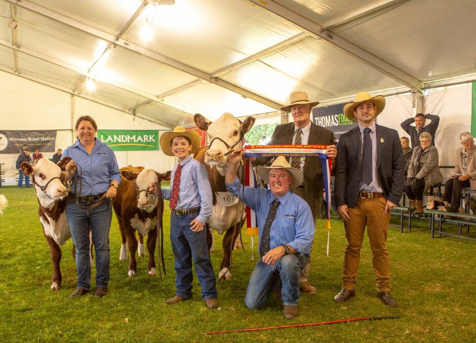 FINE TRIO: Anita, Travis and Mark Wilson, Kerlson Pines, Keith, with their grand champion female being sashed by David Bennett and judge Tom Green.